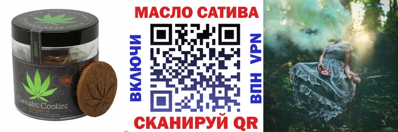 закладки  MEGA tor  darknet телеграм  Вяземский  Cannafood конопля 