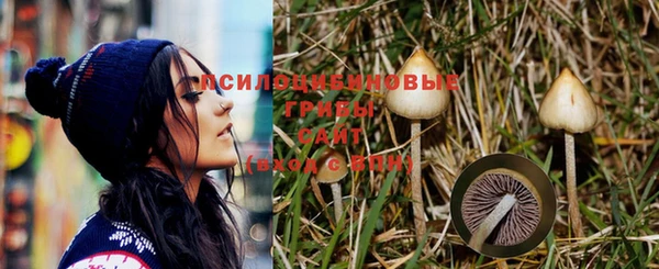 ГАЛЛЮЦИНОГЕННЫЕ ГРИБЫ Балабаново