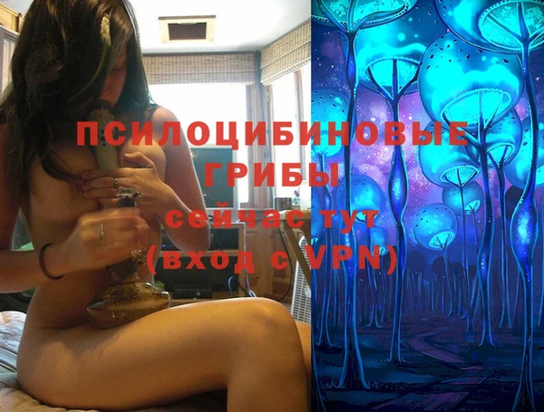 ГАЛЛЮЦИНОГЕННЫЕ ГРИБЫ Балабаново