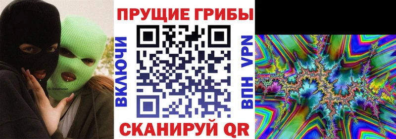 Галлюциногенные грибы Cubensis  Вяземский 